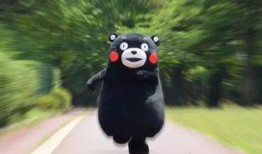 一只光头鹅爆料视频,揭秘幕后真相